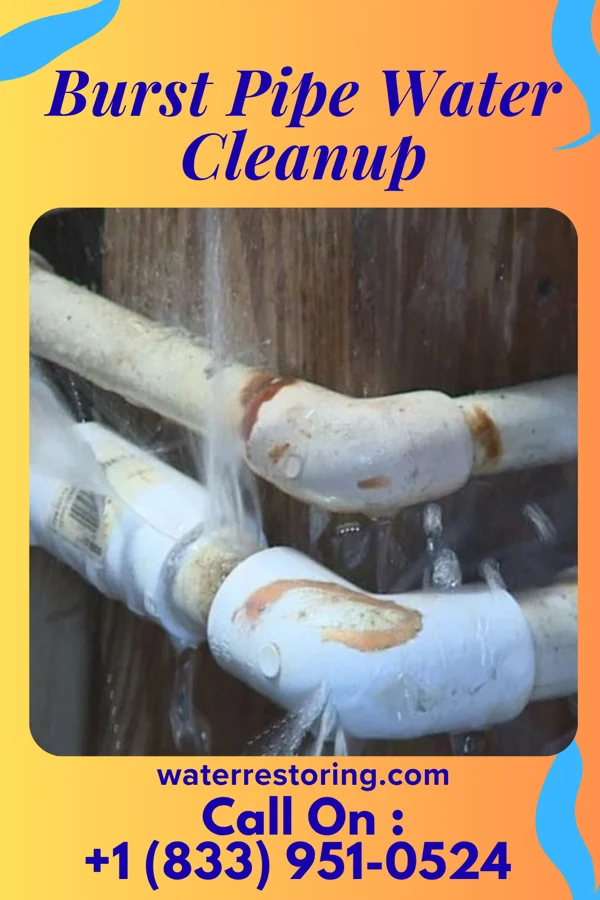 Burst Pipe Water Cleanup in Lancaster, SC