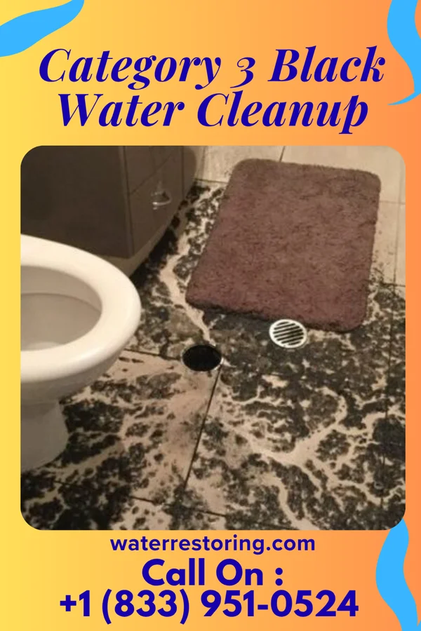 Category 3 Black Water Cleanup in Lancaster, SC