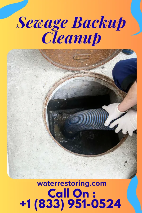 Sewage Backup Cleanup in Lancaster, SC